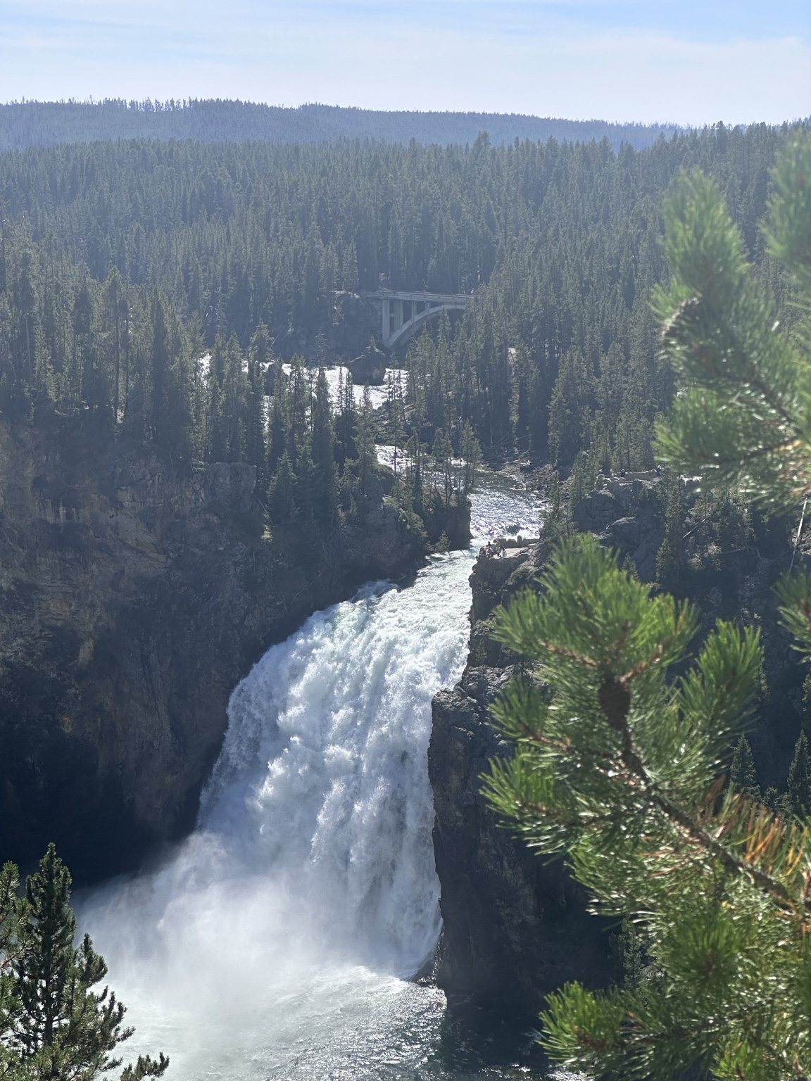 Was Yellowstone Worth It? A Family Trip for Dad’s 81st Birthday